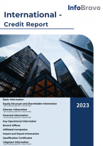 國際 - 企業信用報告